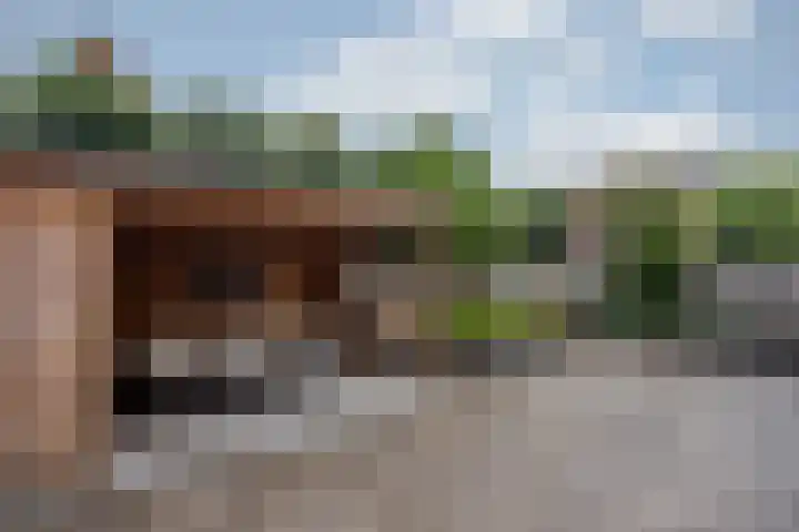 Lisdodde 28 Tegelen thumbnail 5