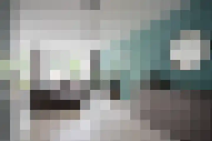 Lisdodde 28 Tegelen thumbnail 6