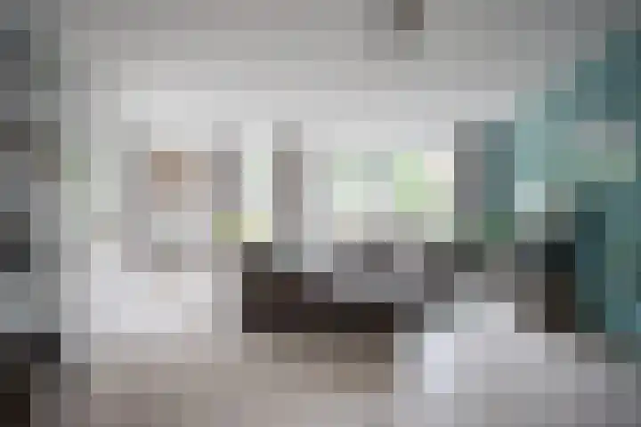 Lisdodde 28 Tegelen thumbnail 7