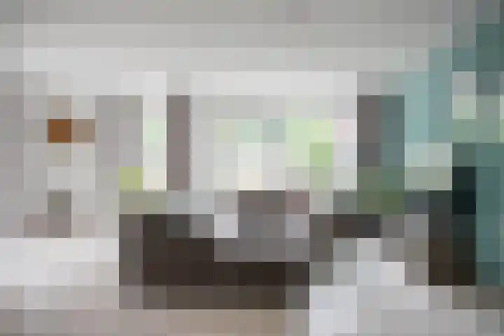 Lisdodde 28 Tegelen thumbnail 8