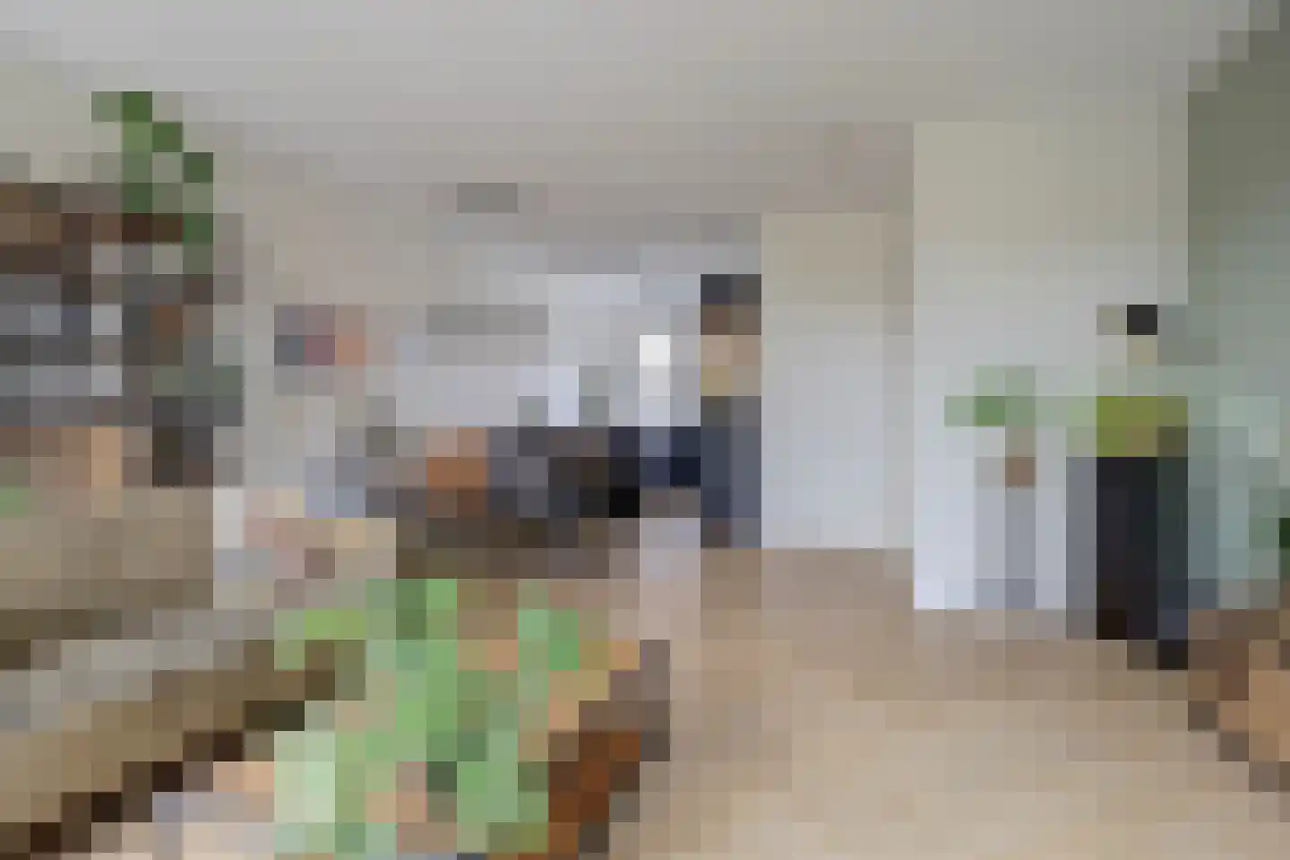 Lisdodde 3 Roelofarendsveen thumbnail 11