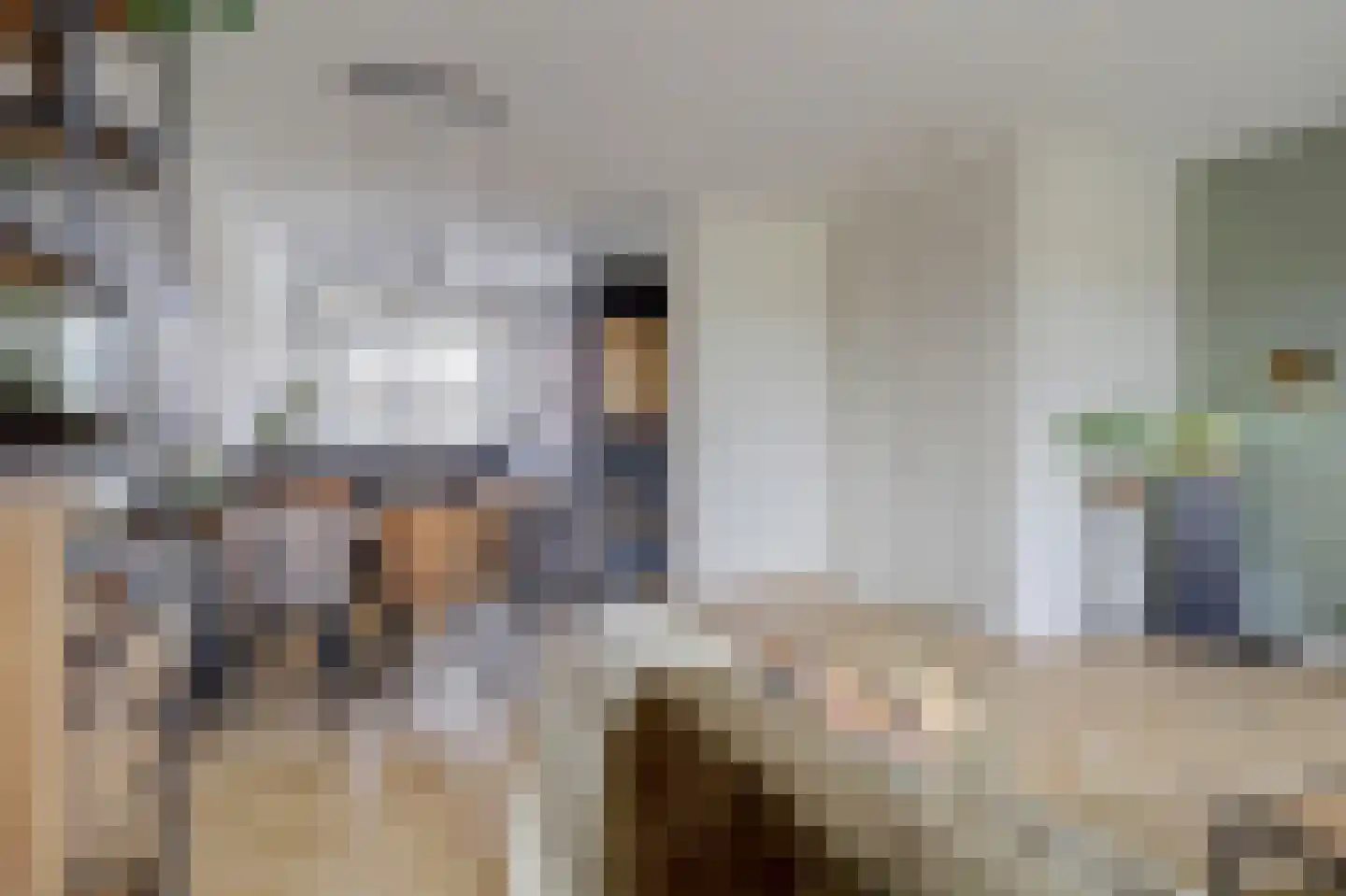 Lisdodde 3 Roelofarendsveen thumbnail 12