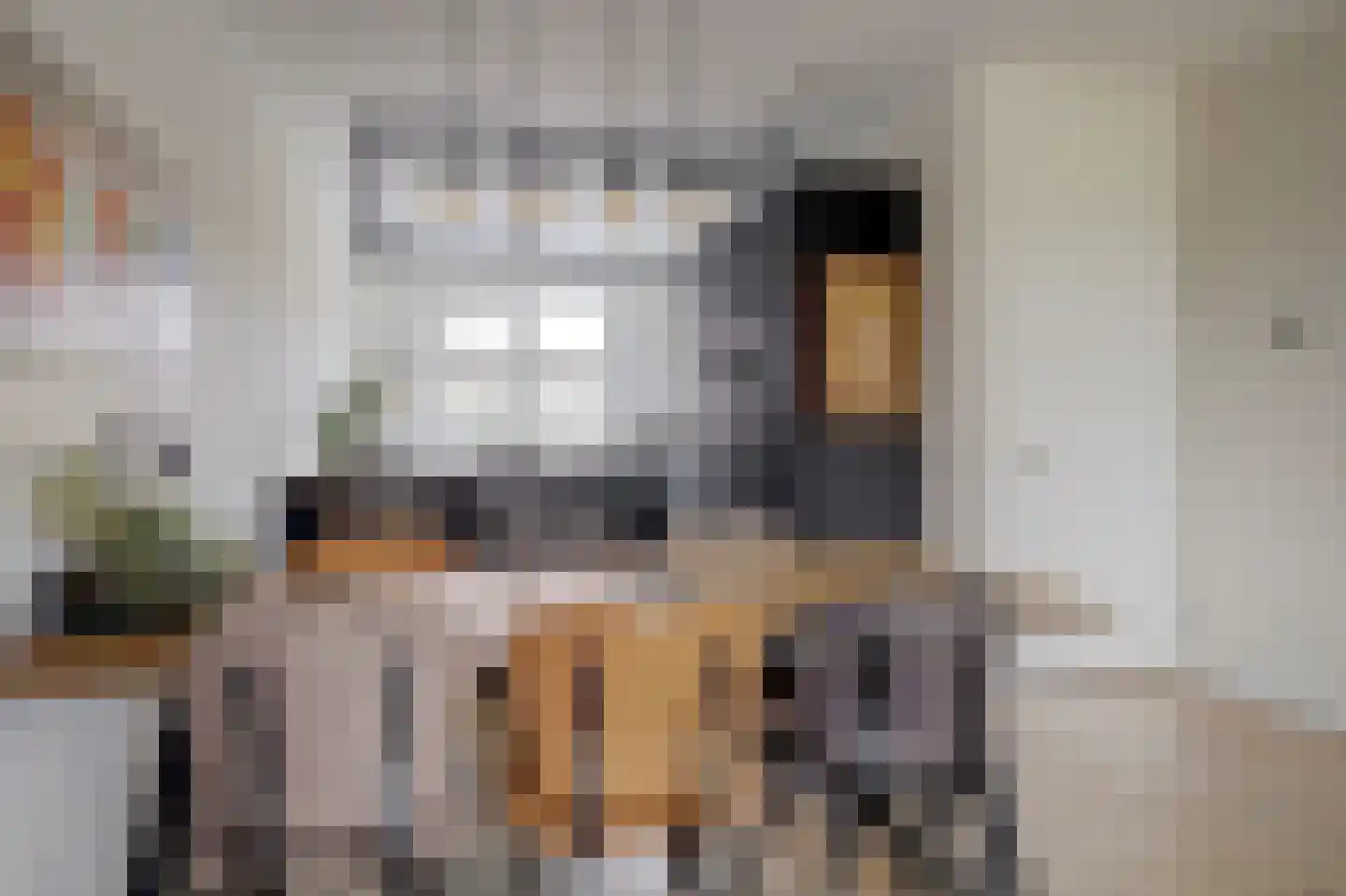 Lisdodde 3 Roelofarendsveen thumbnail 14