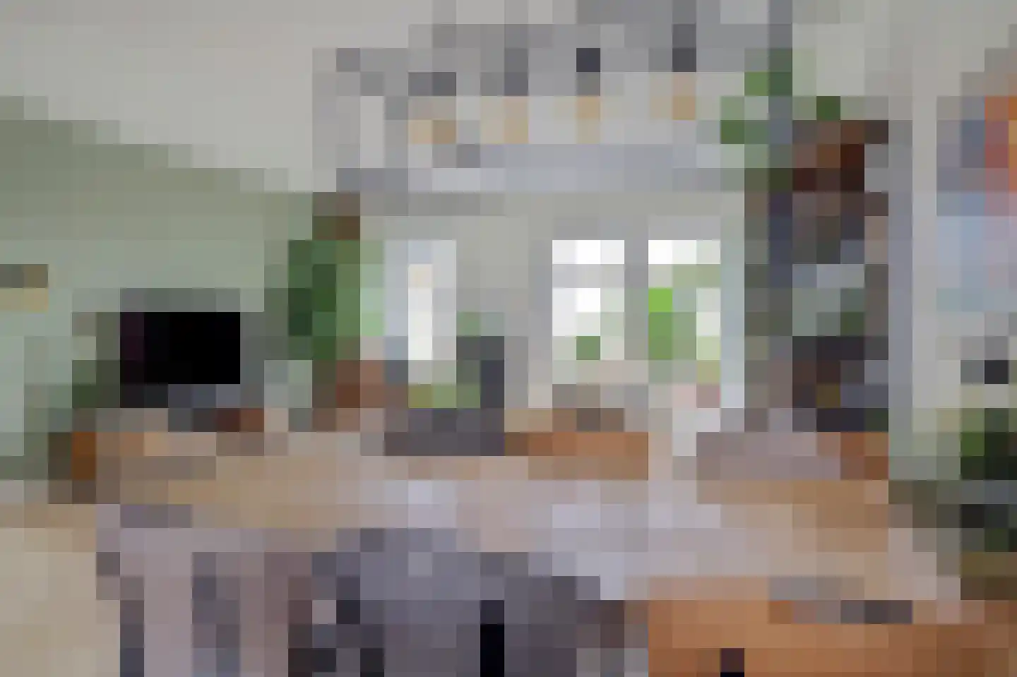 Lisdodde 3 Roelofarendsveen thumbnail 15