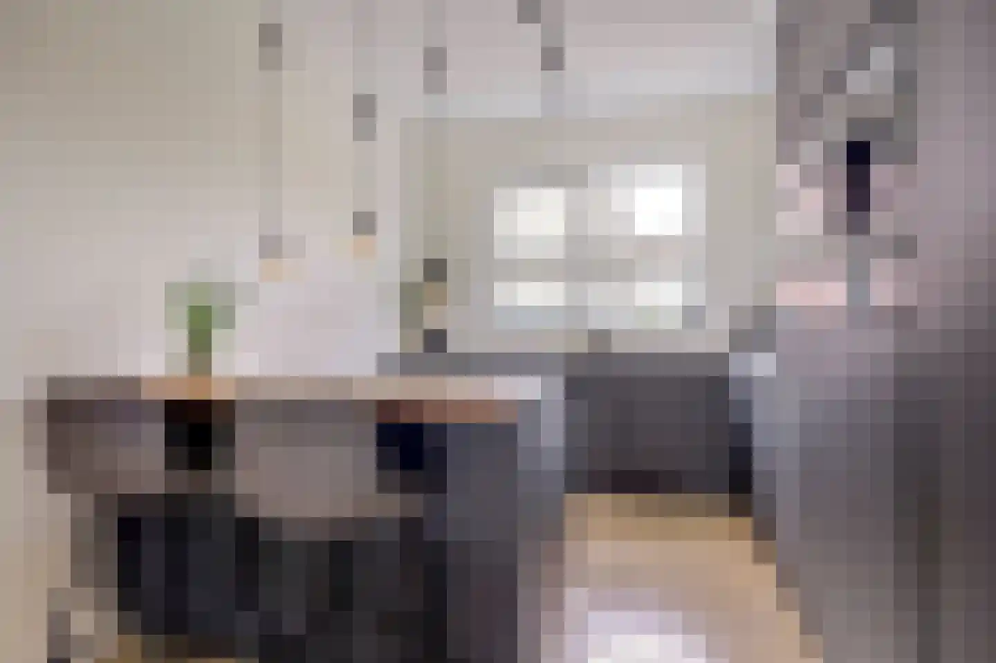 Lisdodde 3 Roelofarendsveen thumbnail 16