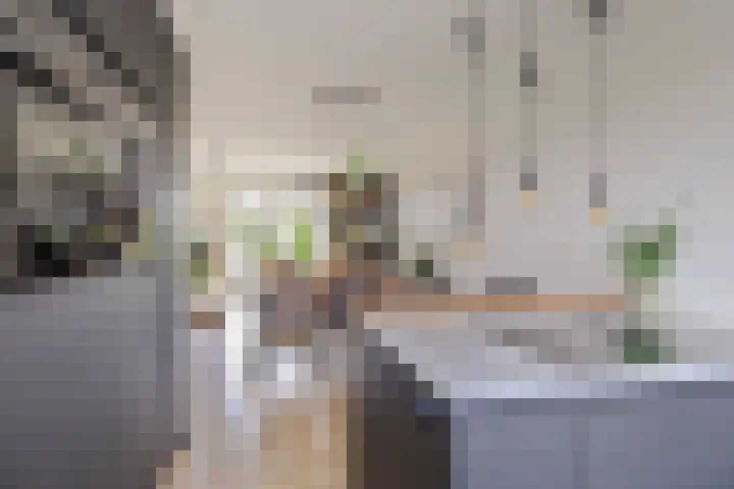 Lisdodde 3 Roelofarendsveen thumbnail 17