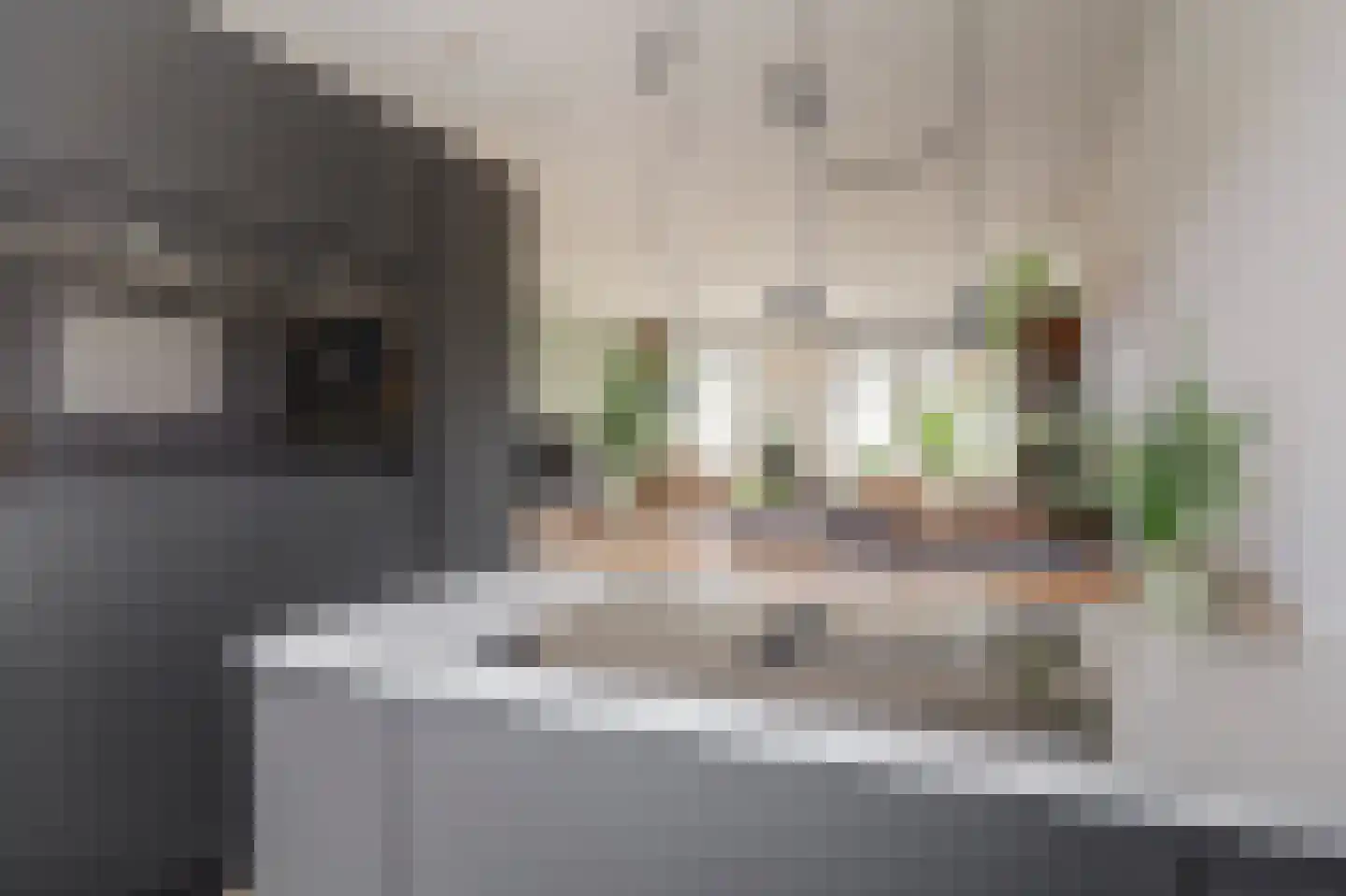 Lisdodde 3 Roelofarendsveen thumbnail 18