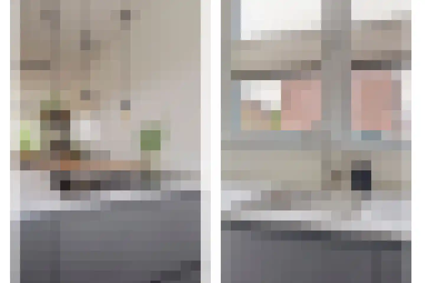 Lisdodde 3 Roelofarendsveen thumbnail 19