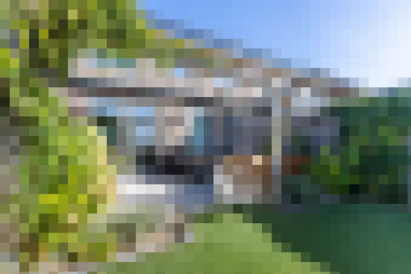 Lisdodde 3 Roelofarendsveen thumbnail 21