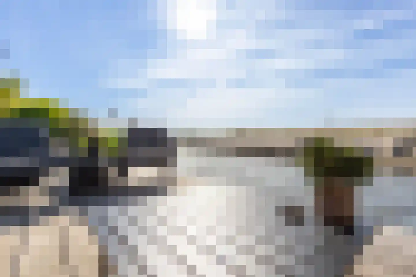 Lisdodde 3 Roelofarendsveen thumbnail 23