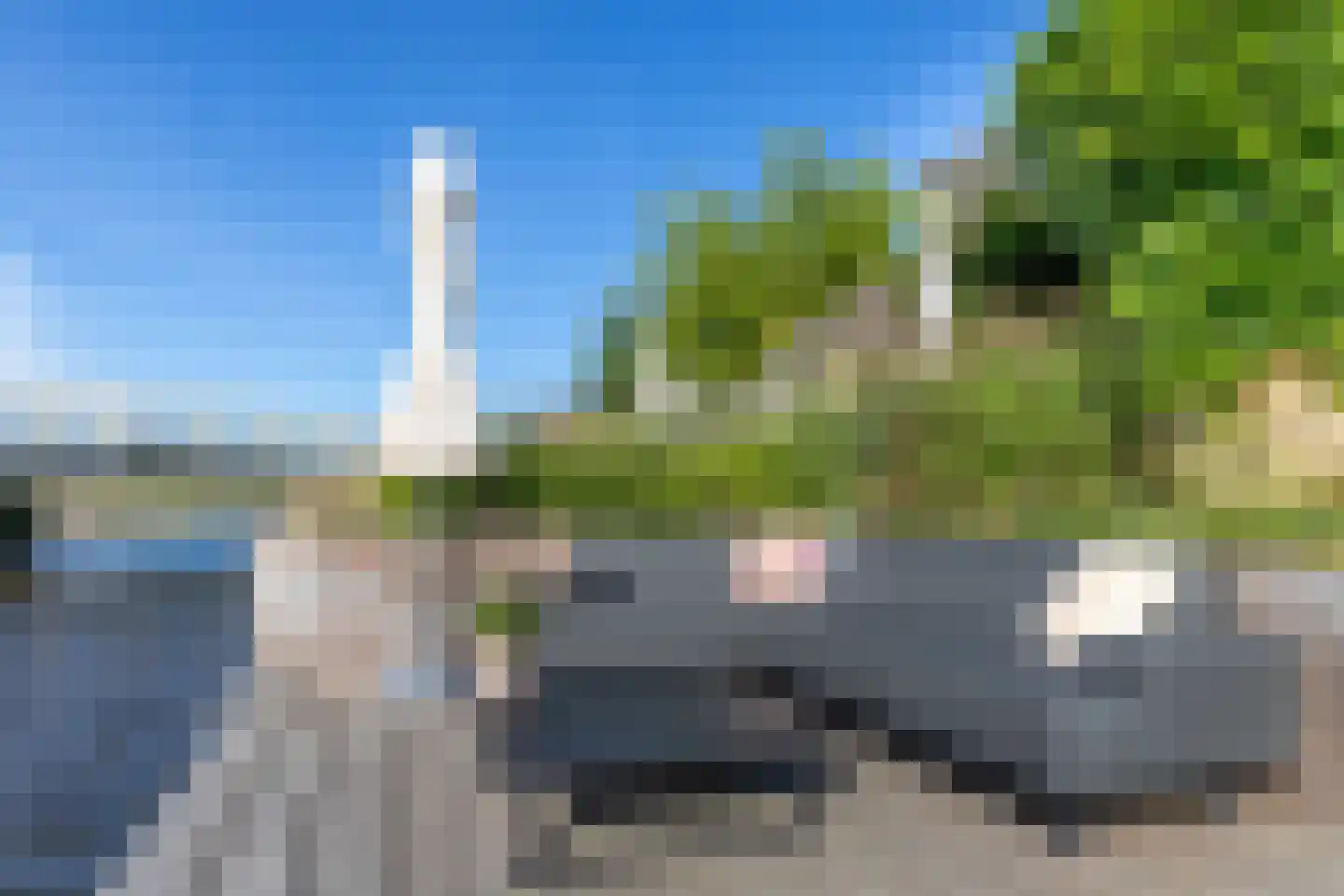 Lisdodde 3 Roelofarendsveen thumbnail 25