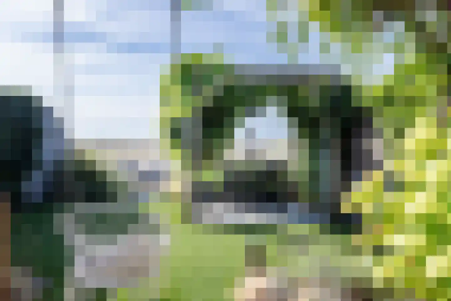 Lisdodde 3 Roelofarendsveen thumbnail 27