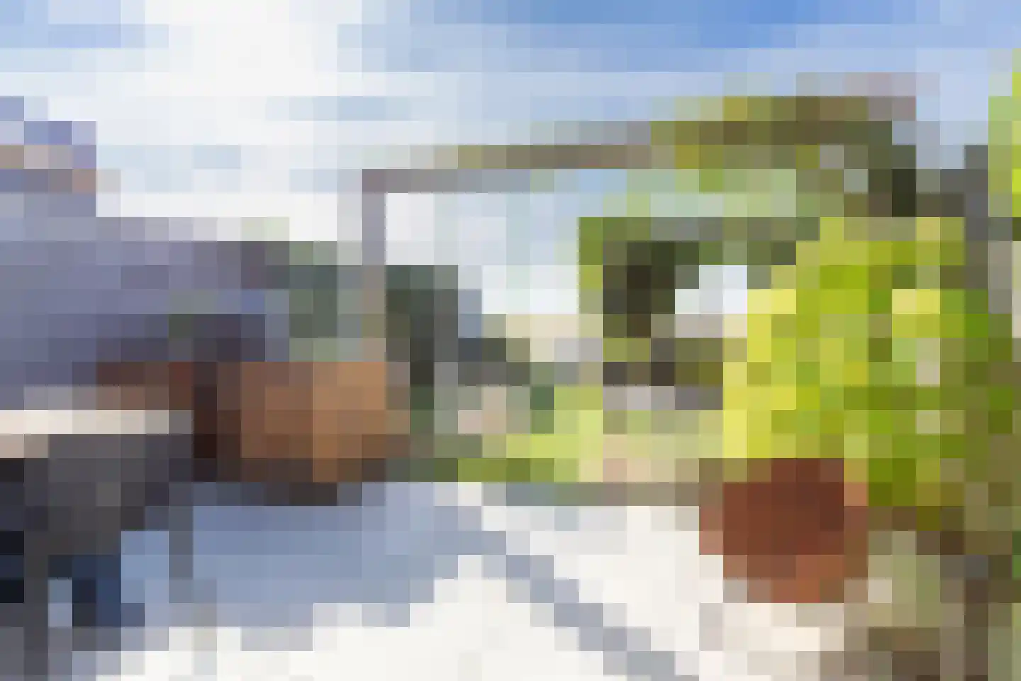 Lisdodde 3 Roelofarendsveen thumbnail 28