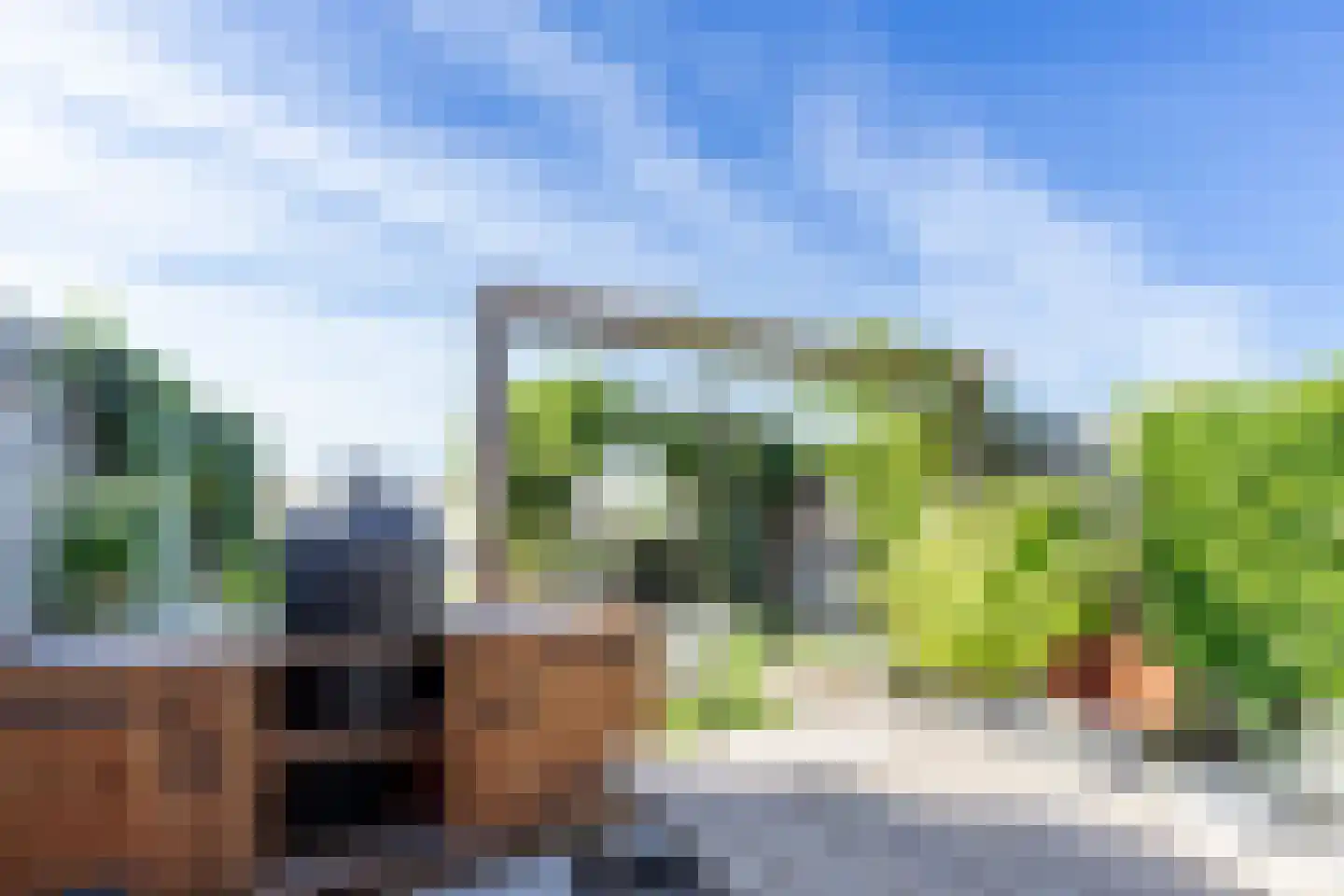 Lisdodde 3 Roelofarendsveen thumbnail 29