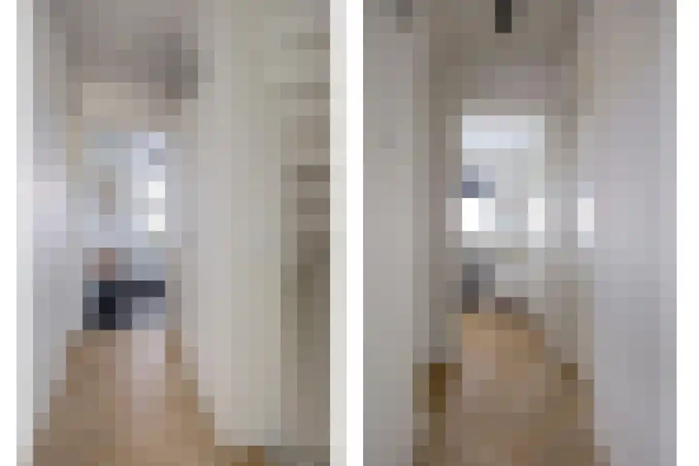Lisdodde 3 Roelofarendsveen thumbnail 32