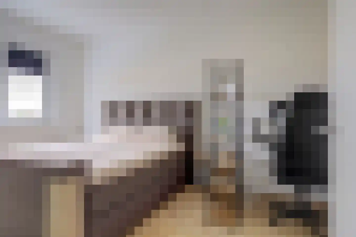 Lisdodde 3 Roelofarendsveen thumbnail 33