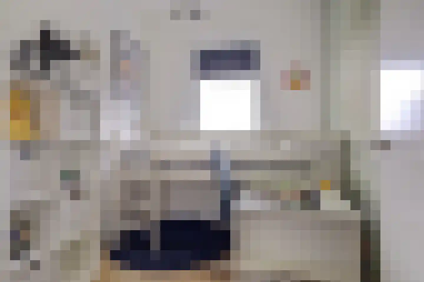Lisdodde 3 Roelofarendsveen thumbnail 38