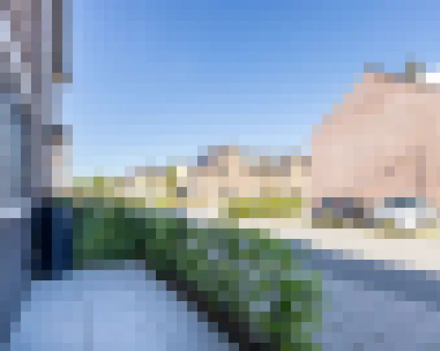 Lisdodde 3 Roelofarendsveen thumbnail 4