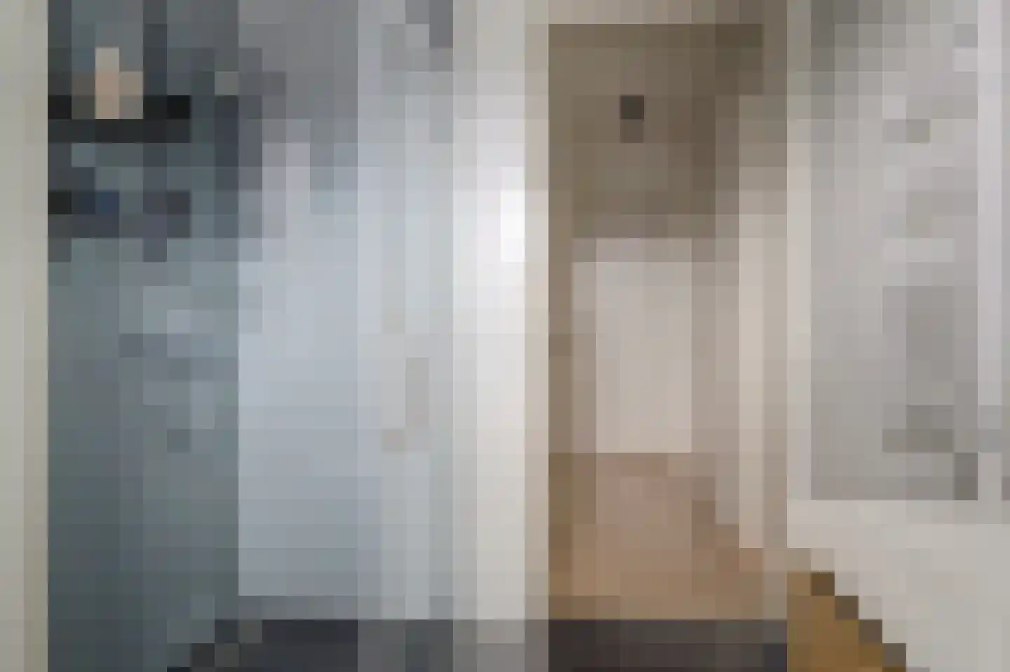 Lisdodde 3 Roelofarendsveen thumbnail 40