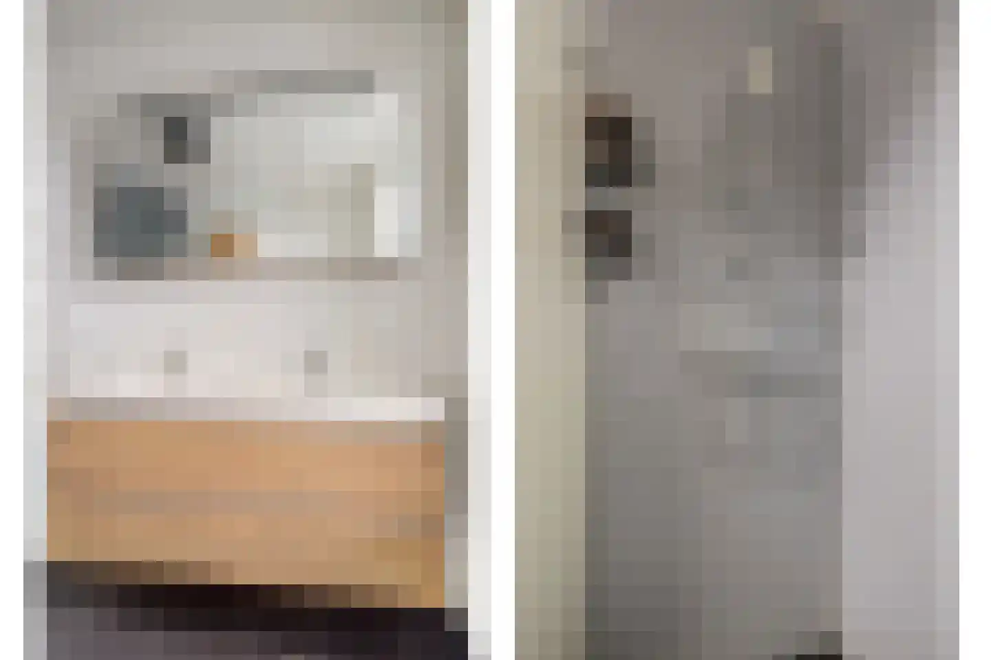 Lisdodde 3 Roelofarendsveen thumbnail 41