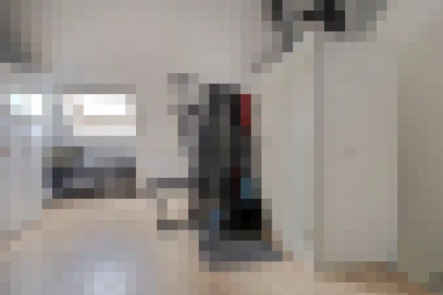 Lisdodde 3 Roelofarendsveen thumbnail 42