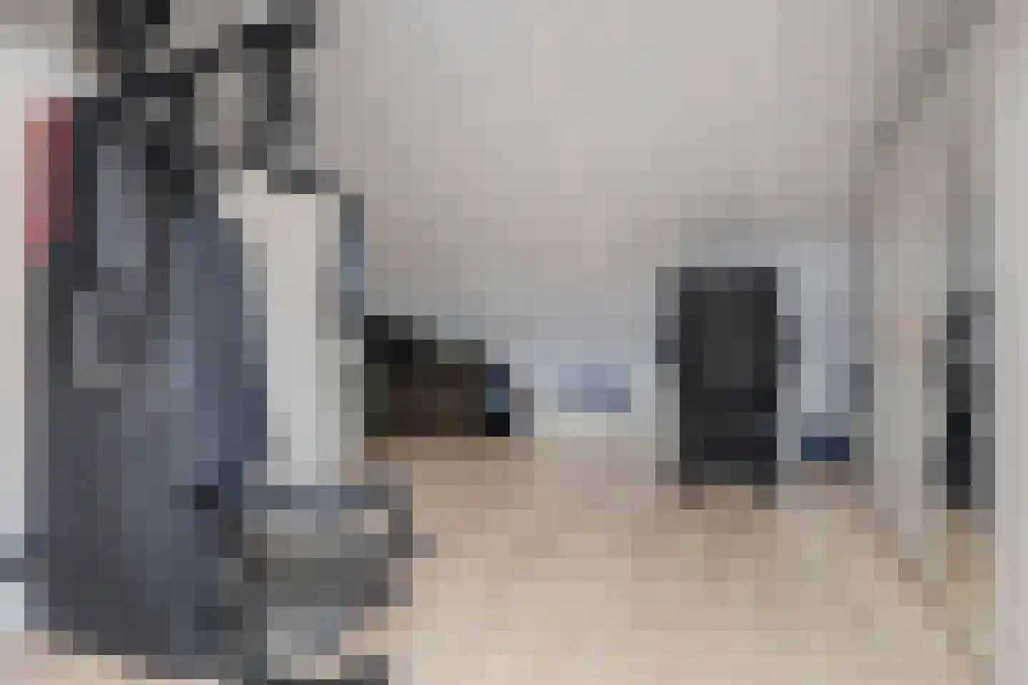 Lisdodde 3 Roelofarendsveen thumbnail 43