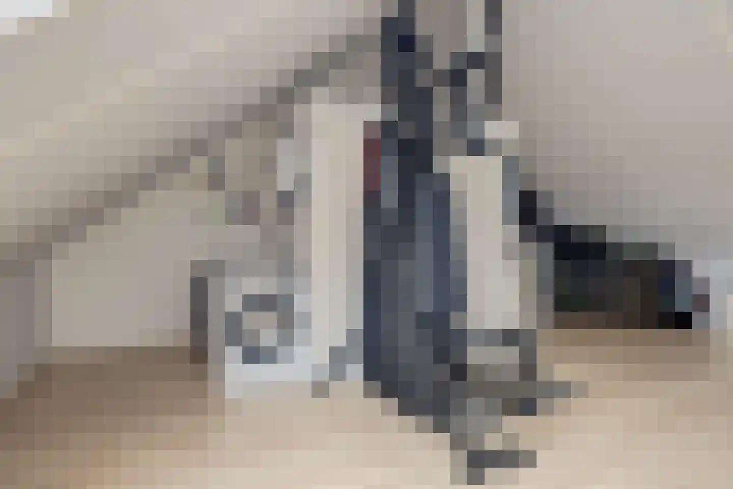 Lisdodde 3 Roelofarendsveen thumbnail 44