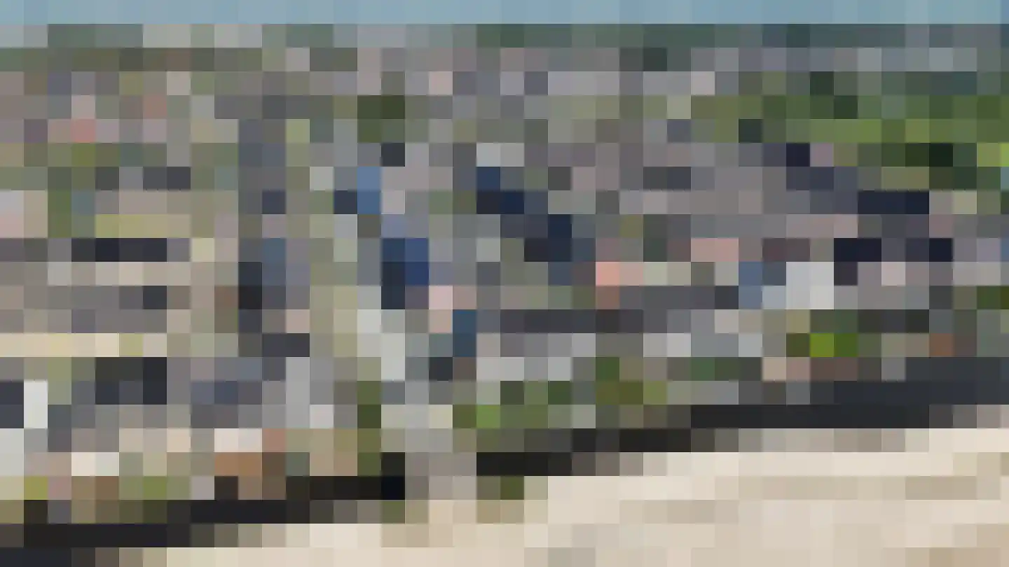 Lisdodde 3 Roelofarendsveen thumbnail 47