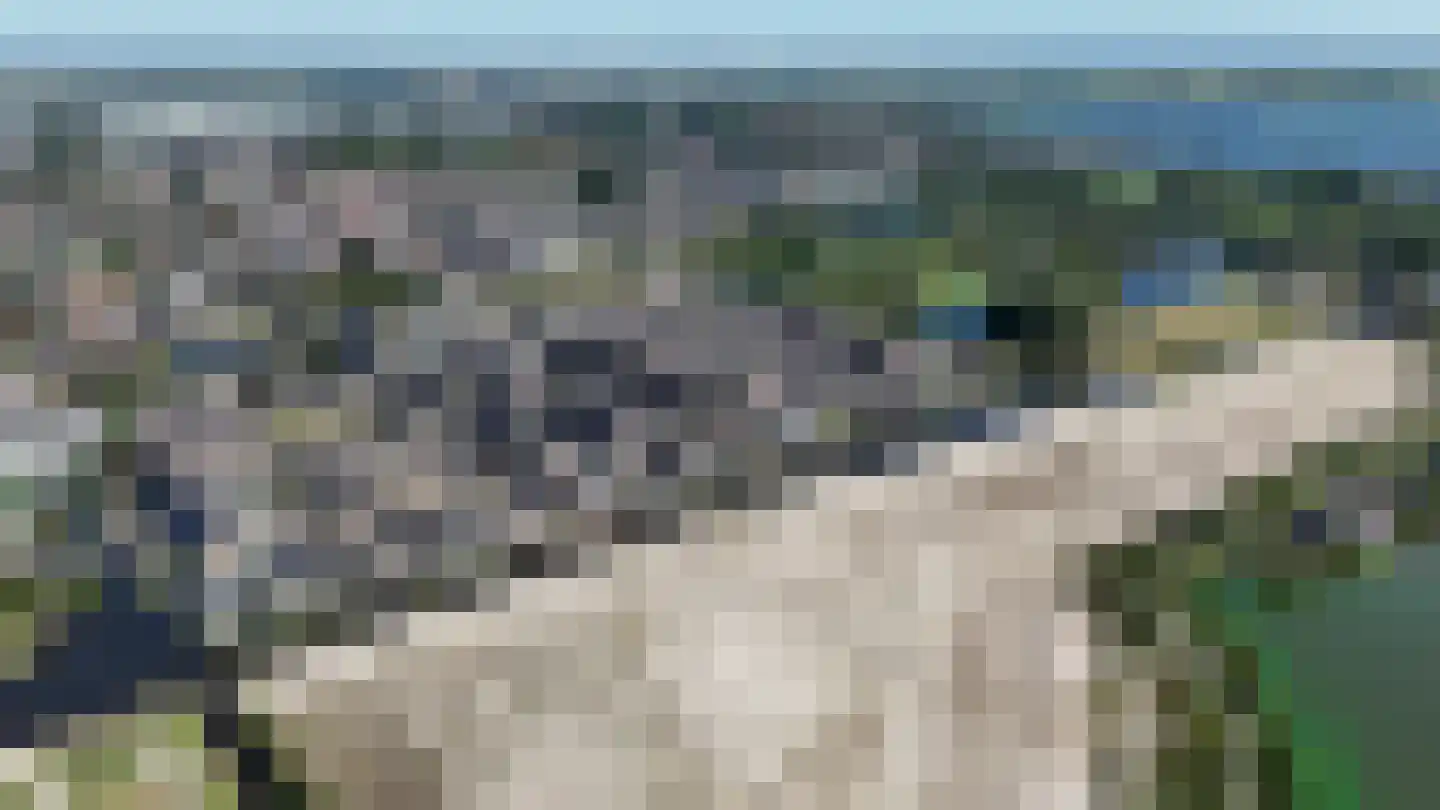 Lisdodde 3 Roelofarendsveen thumbnail 48