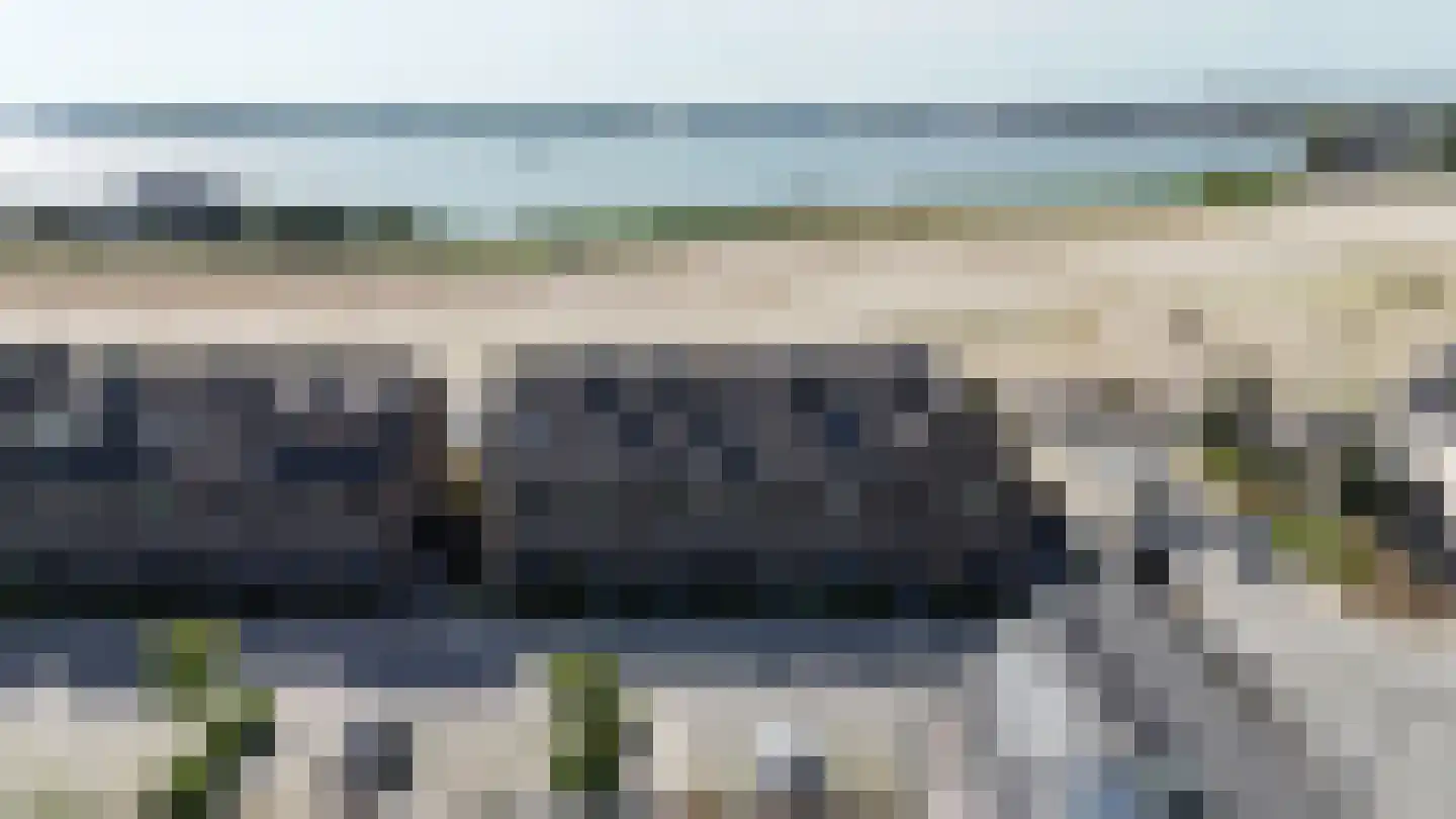 Lisdodde 3 Roelofarendsveen thumbnail 49