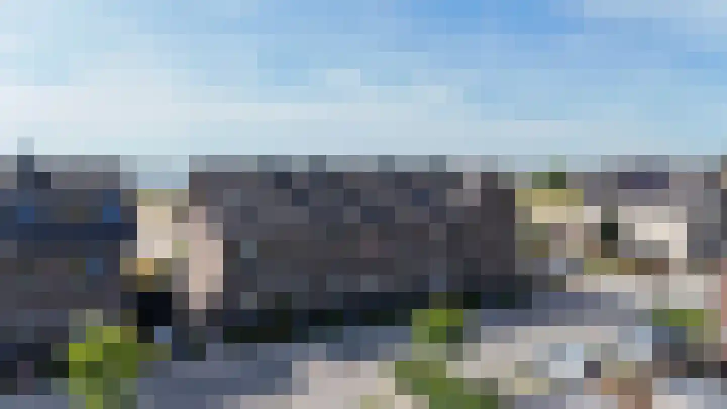 Lisdodde 3 Roelofarendsveen thumbnail 50
