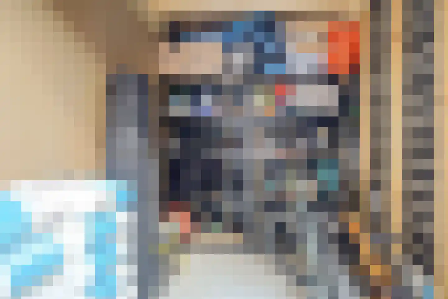 Lisdodde 3 Roelofarendsveen thumbnail 51