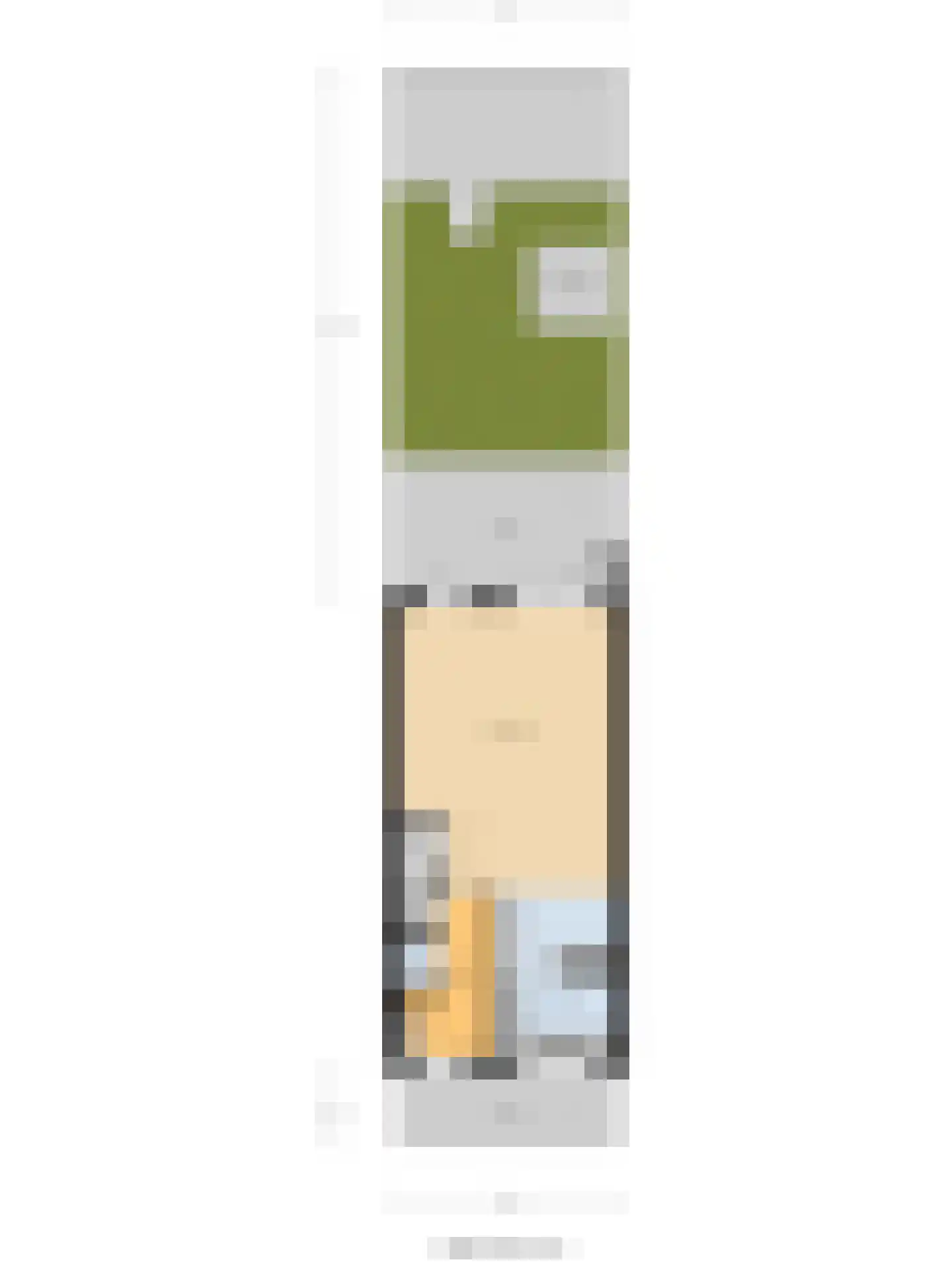 Lisdodde 3 Roelofarendsveen thumbnail 52