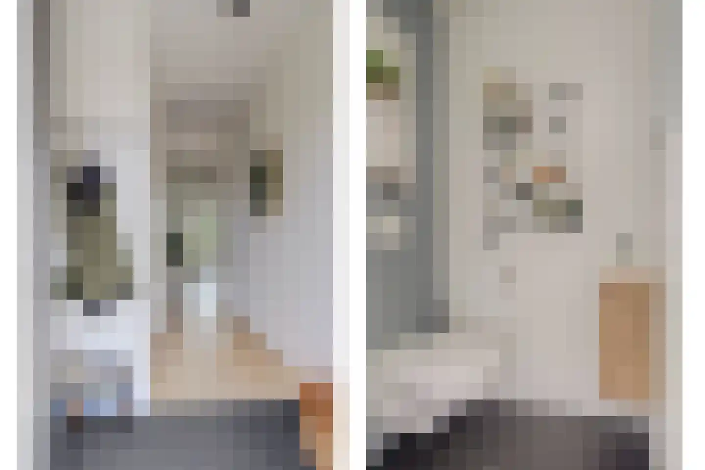 Lisdodde 3 Roelofarendsveen thumbnail 8
