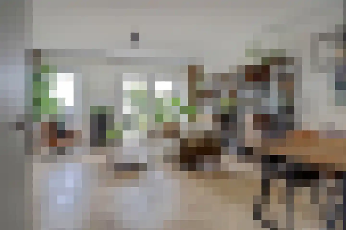 Lisdodde 3 Roelofarendsveen thumbnail 9