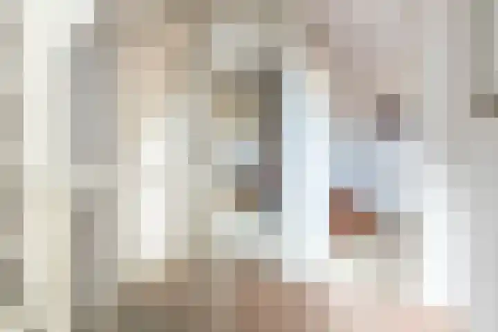 Lisdodde 33 Nieuw-Buinen thumbnail 22