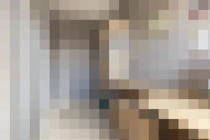 Lisdodde 33 Nieuw-Buinen thumbnail 32