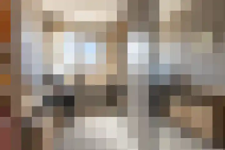 Lisdodde 33 Nieuw-Buinen thumbnail 33