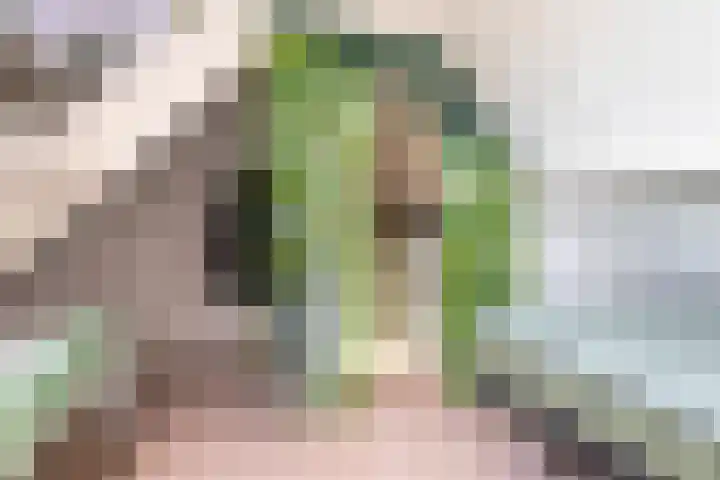 Lisdodde 33 Nieuw-Buinen thumbnail 36