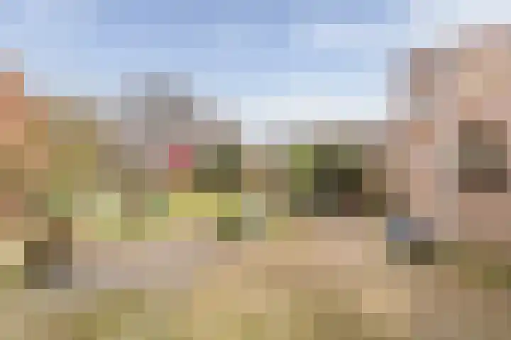 Lisdodde 33 Nieuw-Buinen thumbnail 37