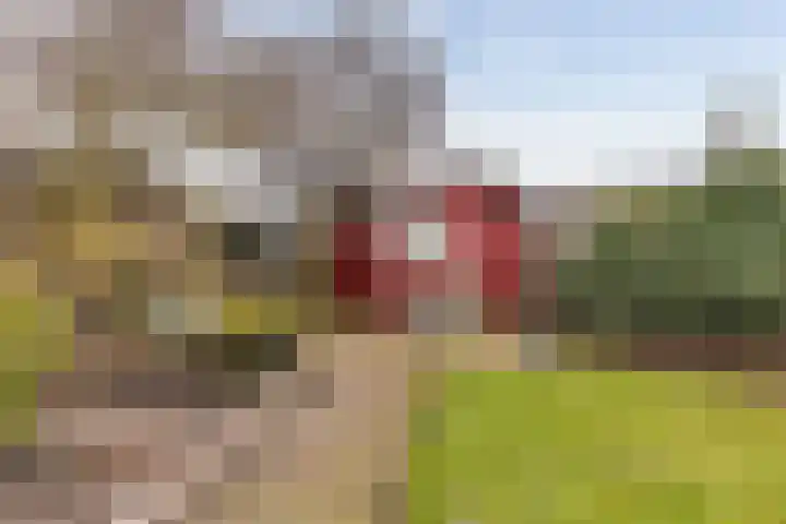 Lisdodde 33 Nieuw-Buinen thumbnail 39