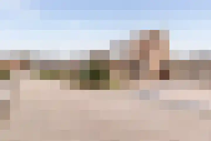 Lisdodde 33 Nieuw-Buinen thumbnail 4