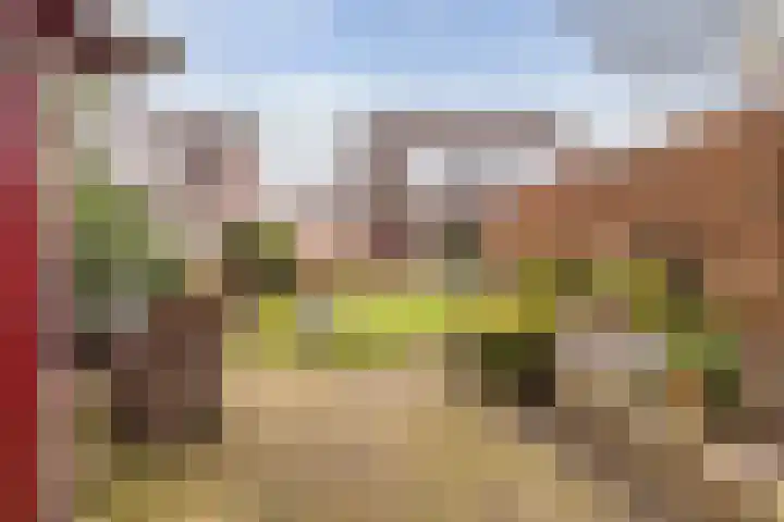 Lisdodde 33 Nieuw-Buinen thumbnail 40