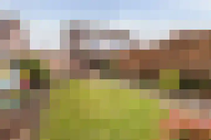 Lisdodde 33 Nieuw-Buinen thumbnail 41