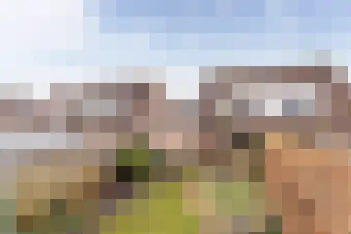 Lisdodde 33 Nieuw-Buinen thumbnail 44
