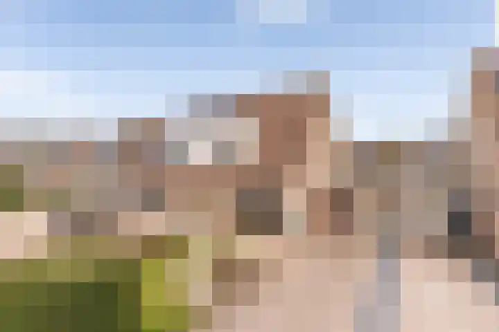 Lisdodde 33 Nieuw-Buinen thumbnail 46