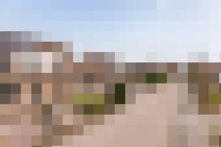 Lisdodde 33 Nieuw-Buinen thumbnail 47