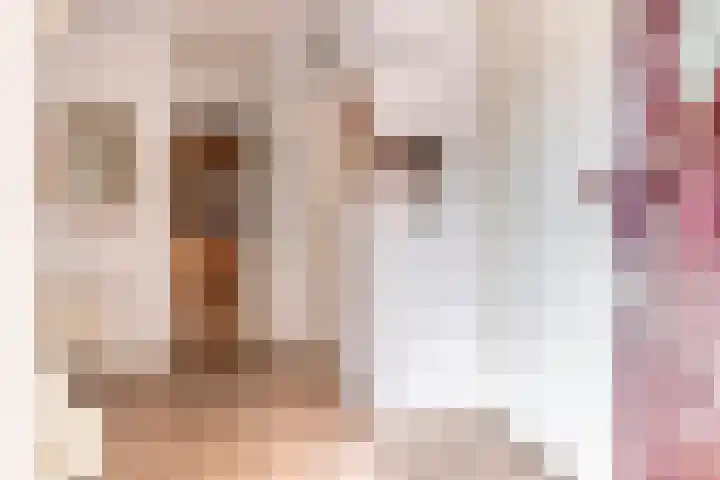 Lisdodde 33 Nieuw-Buinen thumbnail 6