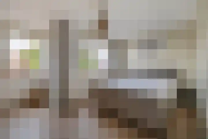 Lisdodde 38 Tegelen thumbnail 11