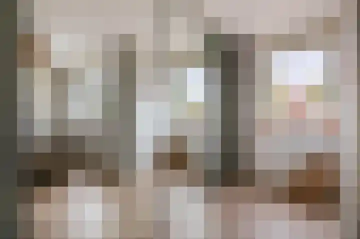 Lisdodde 38 Tegelen thumbnail 12
